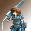 beaglerider