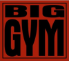 Big Gym Fan
