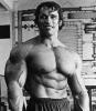 Super Arnold